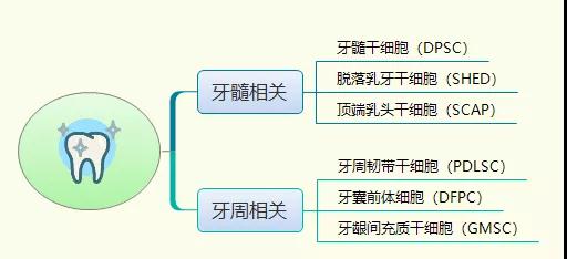 分类