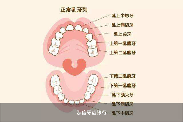 北京哪里可以储存乳牙
