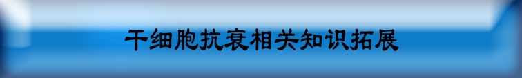 干细胞抗衰相关知识拓展