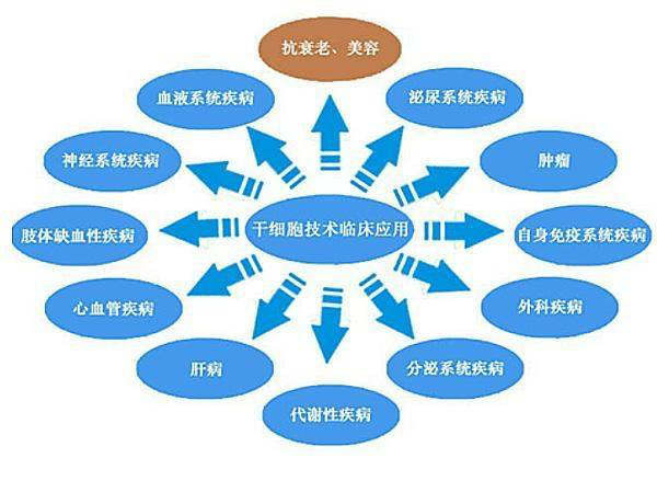 干细胞技术临床应用